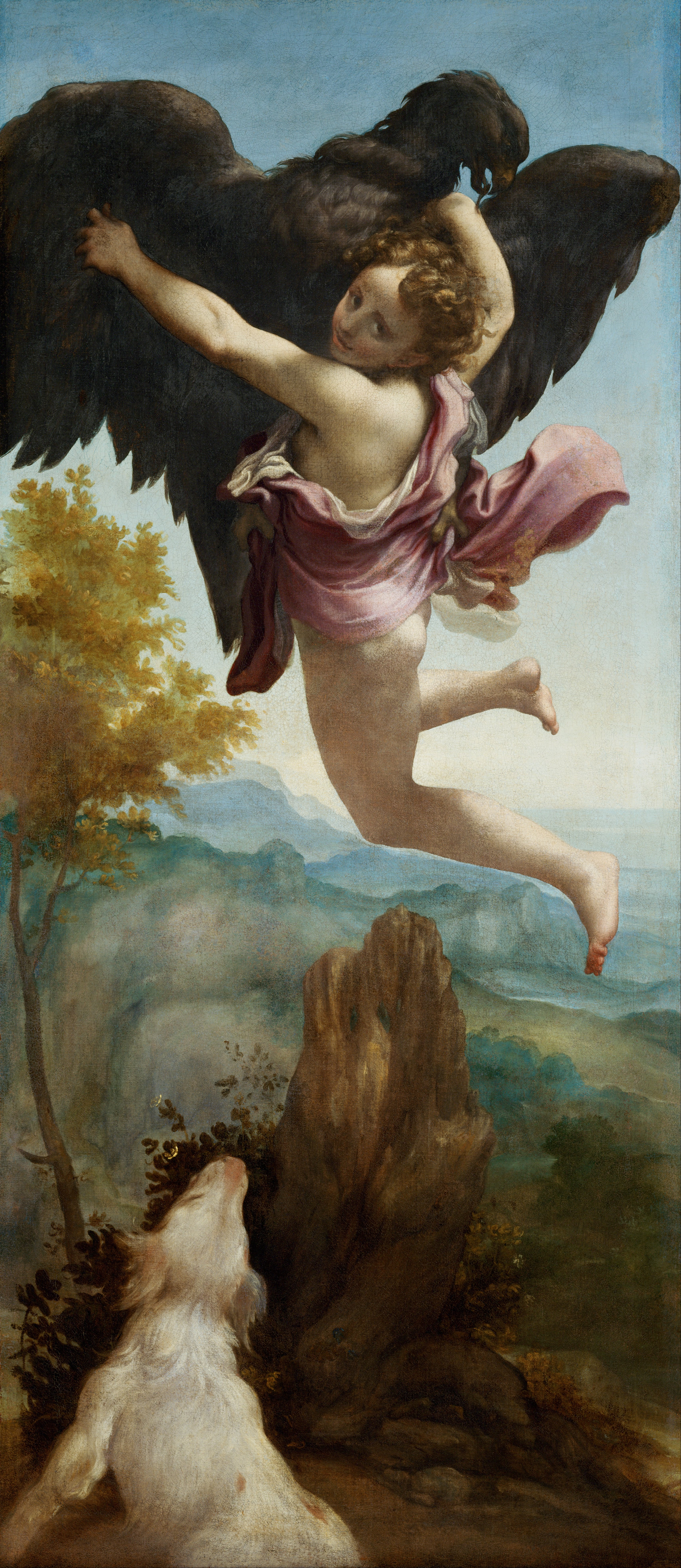 correggio's abduction of ganymede